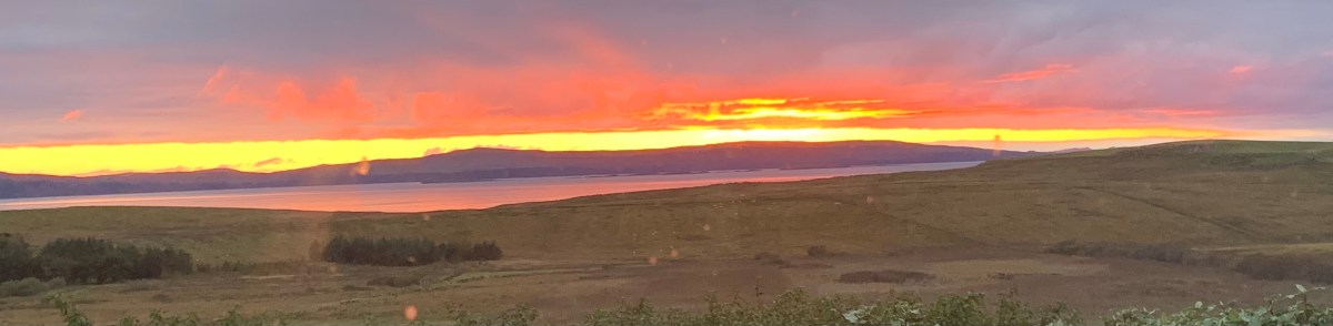 A thank you and a sharing of good&nbsp;news!